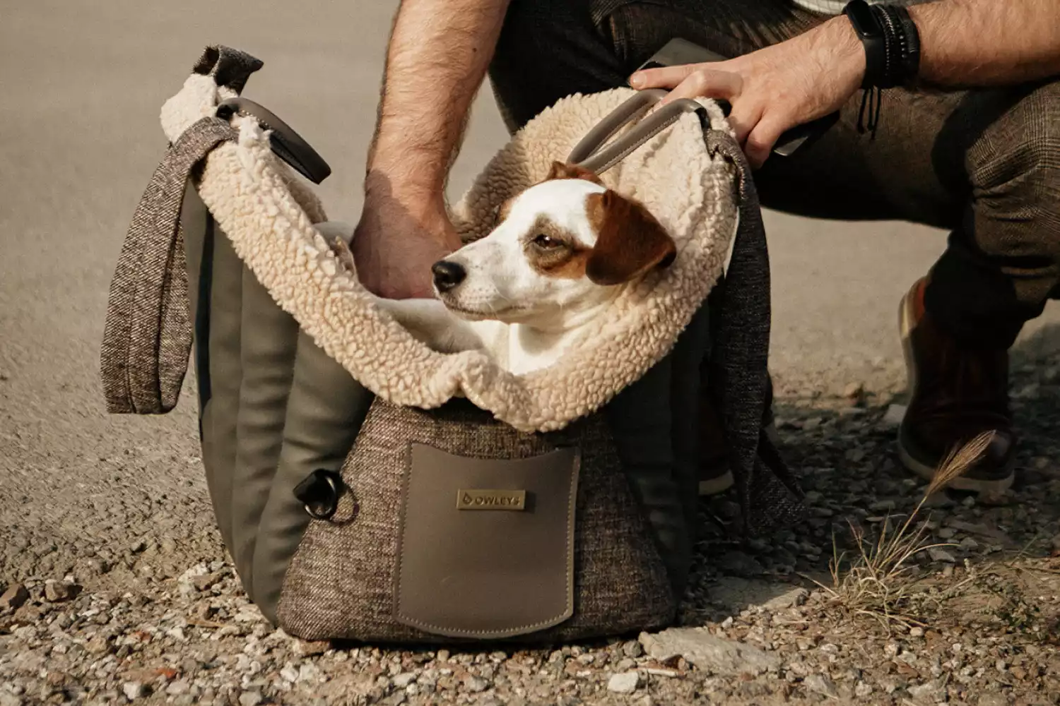 Dog Carrier Purse for Bolognese